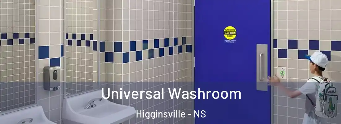 Universal Washroom Higginsville - NS