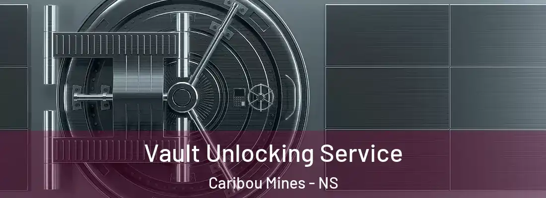 Vault Unlocking Service Caribou Mines - NS