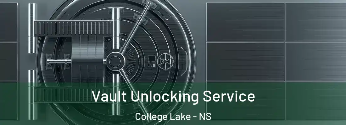 Vault Unlocking Service College Lake - NS