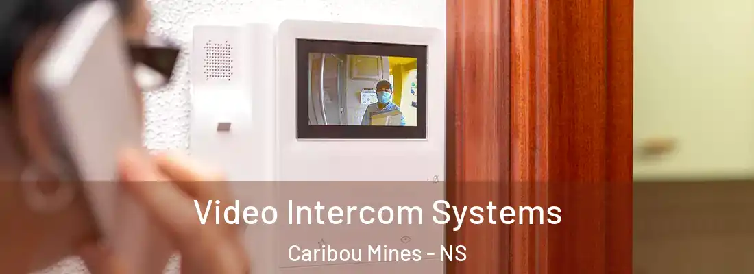 Video Intercom Systems Caribou Mines - NS