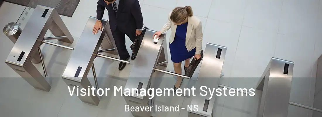  Visitor Management Systems Beaver Island - NS