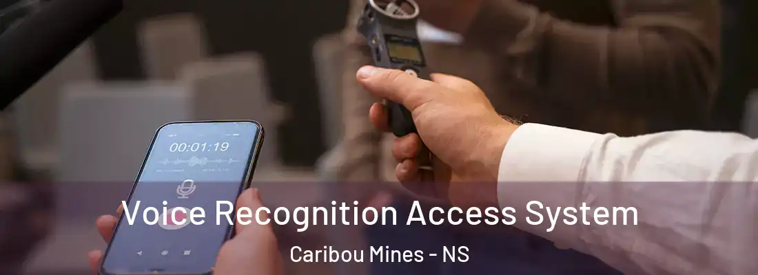 Voice Recognition Access System Caribou Mines - NS