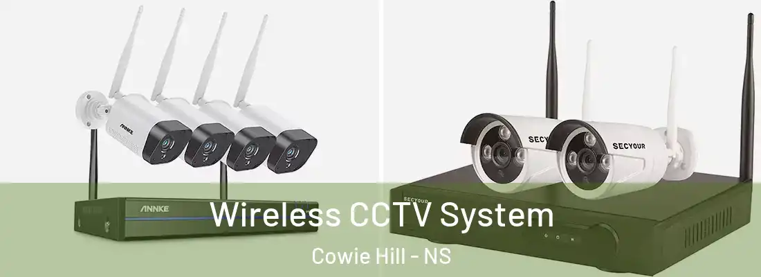 Wireless CCTV System Cowie Hill - NS